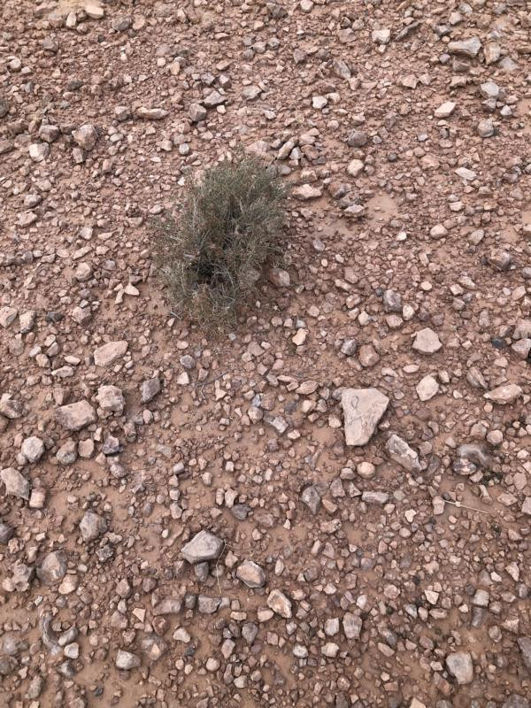 Am CP - Close-up of the CP