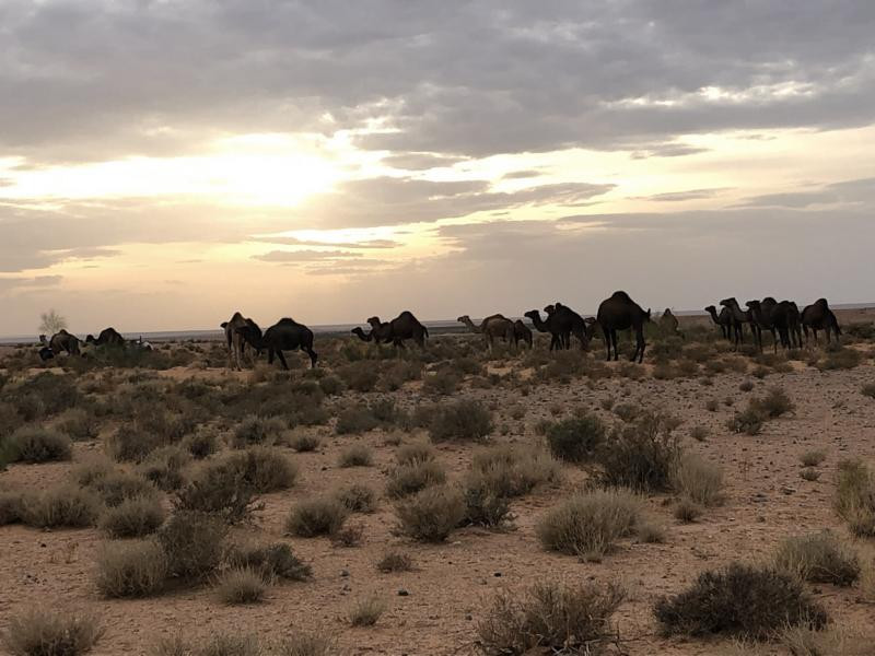 Beim CP - Not far from the CP