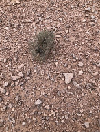 #6: Am CP - Close-up of the CP