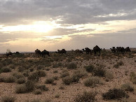 #7: Beim CP - Not far from the CP