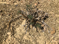 #6: Am CP - Close-up of the CP