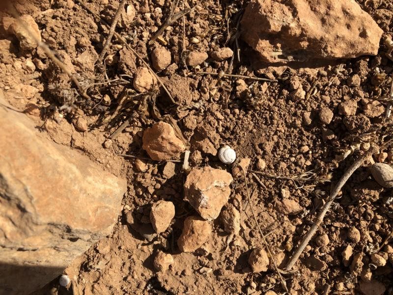 Der CP - Close-up of the CP