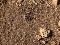 #6: Am CP - Close-up of the CP