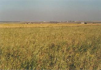 #1: The Confluence 33°N 8°W in the barley field towards NE, marked by a heap of stones