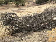 #6: Am CP - At the CP