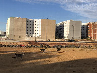 #7: Beim CP - Close to the CP