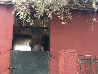 #8: Beobachter - Observer