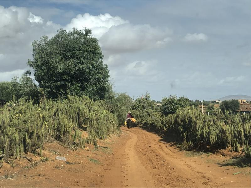 Weg zum CP - On the way to the CP