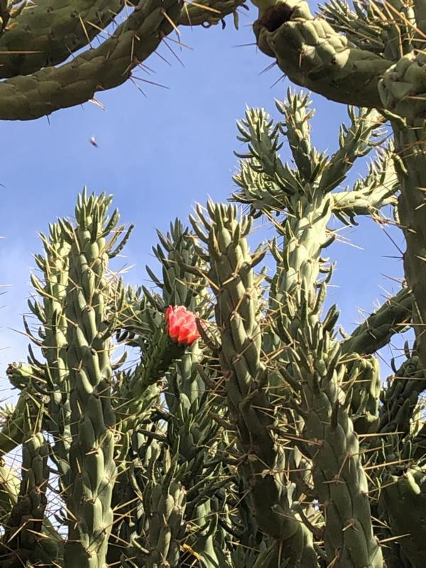 Beim CP - Close to the CP