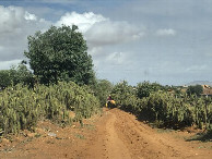 #7: Weg zum CP - On the way to the CP