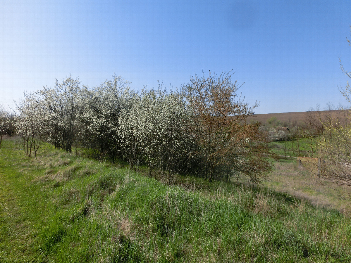 Blick nach S&uuml;den - View south