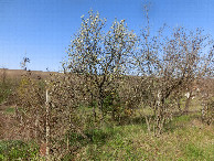 #6: Blick nach Westen - View west