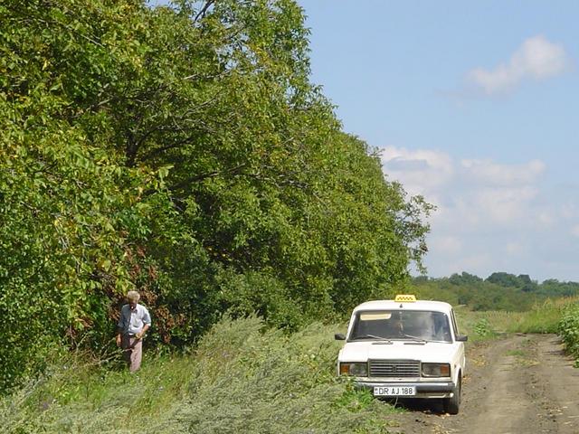 our driver and car (250m from the confluence)