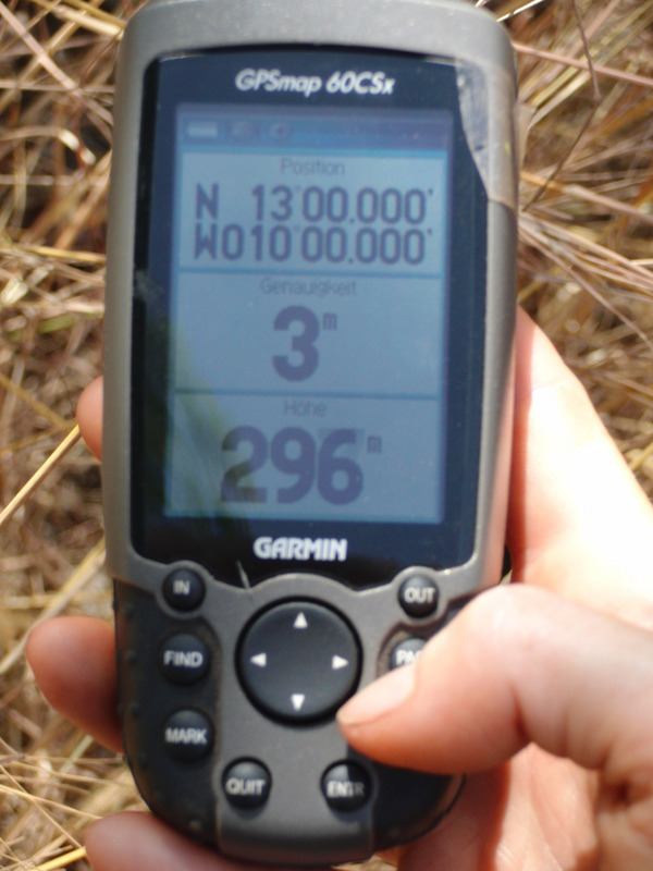 GPS zero in the shrub forest
