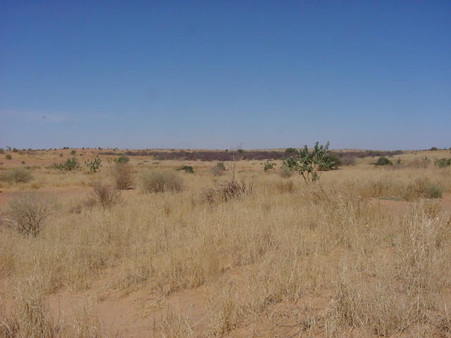 What the desert looks like to the south of the Confluence