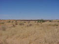 #2: What the desert looks like to the south of the Confluence