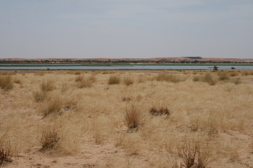 2 km south: Niger River banks