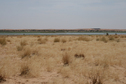 #8: 2 km south: Niger River banks