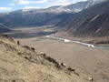 #6: looking SE at confluence from across valley