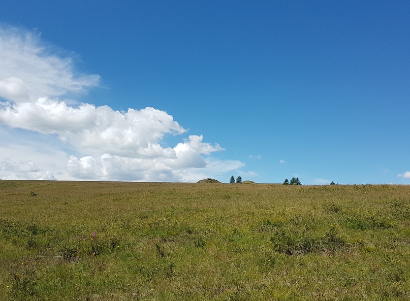 West: meadow along the ridge