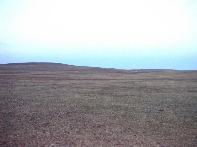 East - steppe
