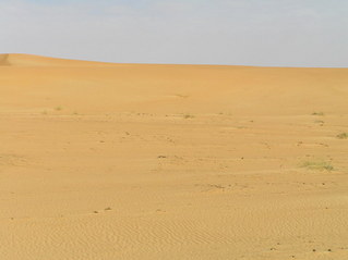 #1: Looking north: dune