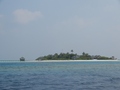 #8: Maaga Island