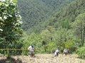 #9: Using ropes down the hill