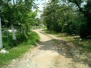 #1: Camino a 80 metros de la confluencia... Path 80 meters of confluence