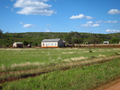 #10: Mennonite farm