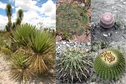 #8: Vegetation in the area