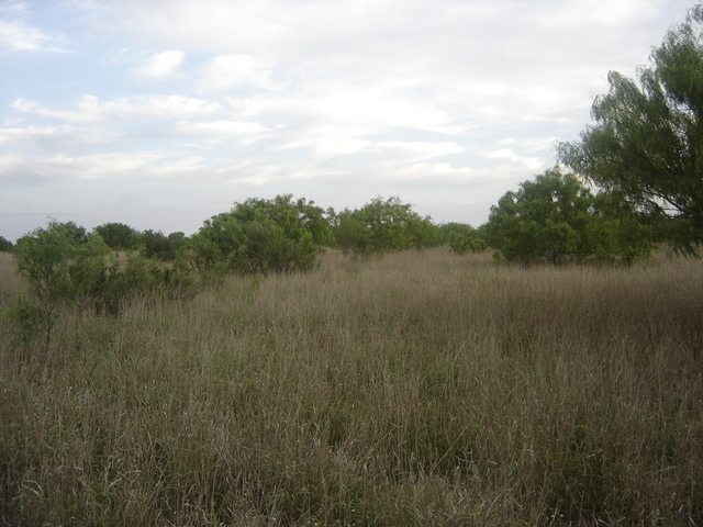 South View, the savanna where we saw deer and wild boar