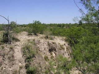 #1: A view of the convergence point from the other side of the arroyo.  The point is on the edge of the dropoff, between the darkly colored area of the arroyo wall and the bushes on top.