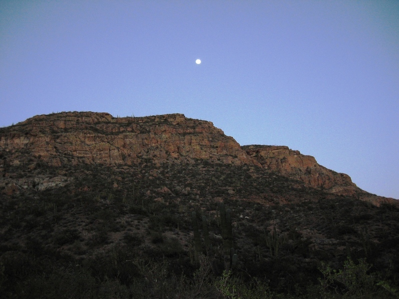 View from the bottom of the canyon with the the moon rise.
