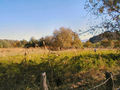 #2: A chile field in the valley