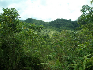 #1: A general view of the mountain side where the C.Pt. is somewhere near the summit. Taken from approx 1 Km.
