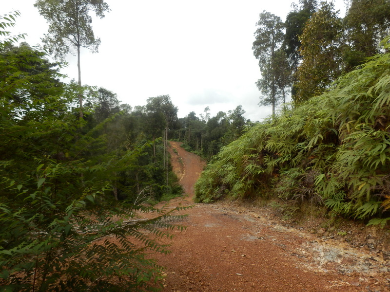 Road 400 m from the Confluence