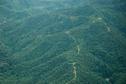 #8: Aerial photo (from Twin Otter) showing old logging road.