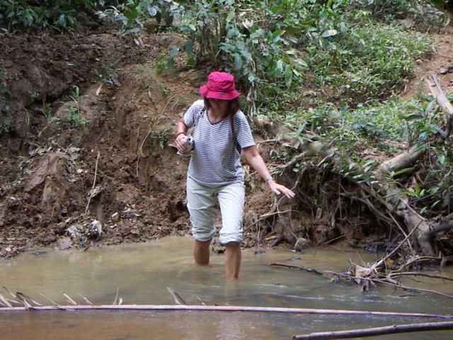 Crossing the stream.