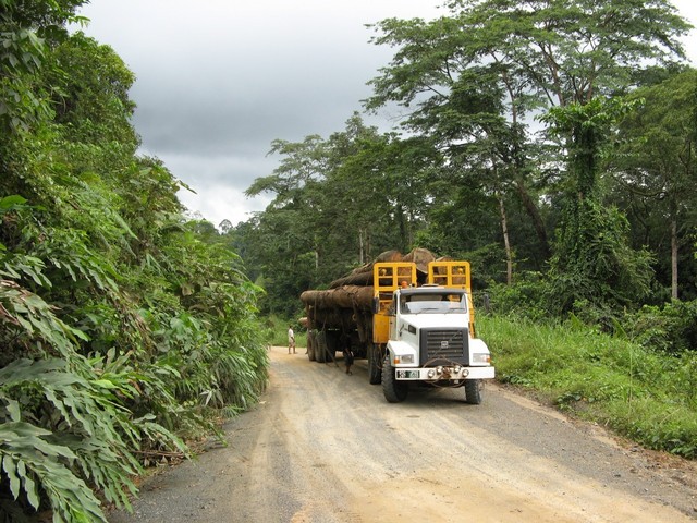 This part of the Danum Valley is open to logging.