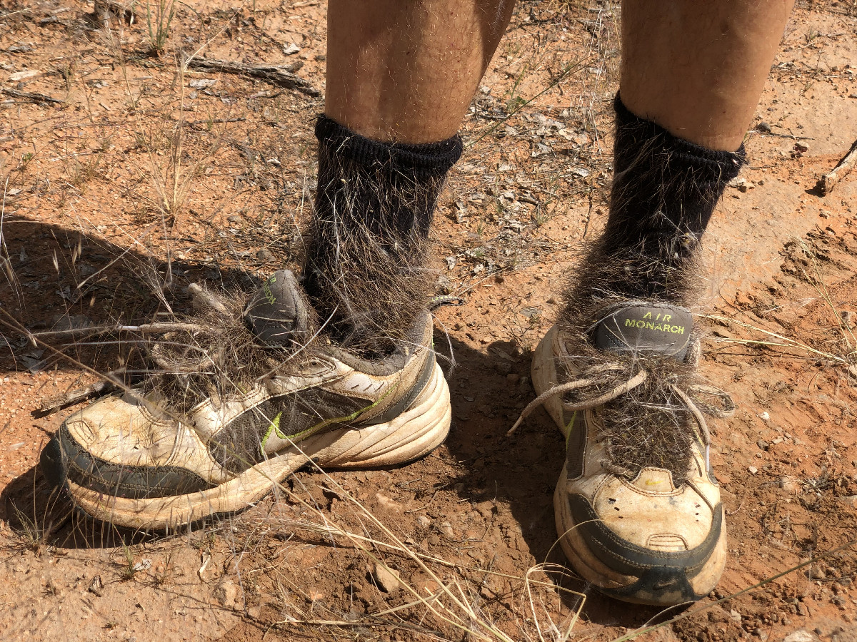 Hairy Socks and Shoes after the Run to the Confluence