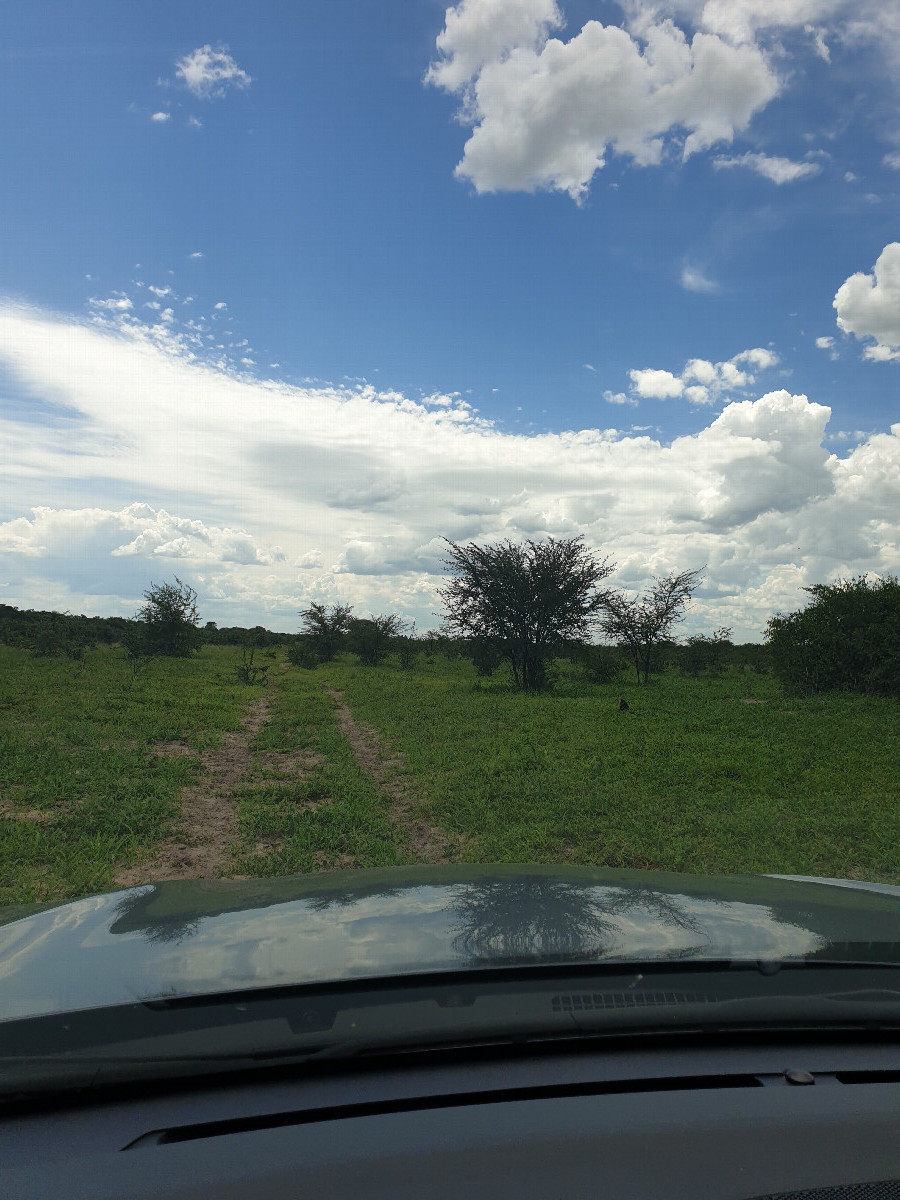 Track off the Trans-Caprivi Highway