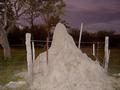 #8: A termite mound in the vicinity