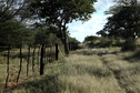 #9: Fence road