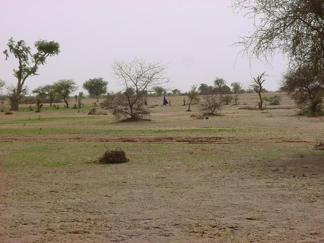 The view northwest from the Confluence.  Note Fulani village in distance