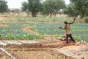 #8: Off-season vegetable gardens west of the Confluence