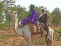 #8: Two of the many Hausa farmers we talked to about farming practices