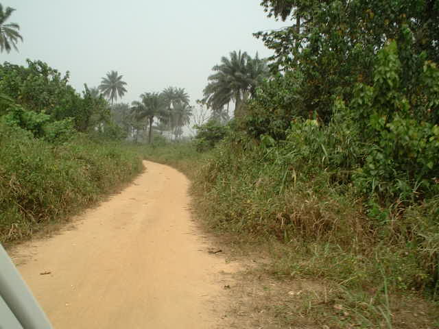 Dirt road towards Confluence