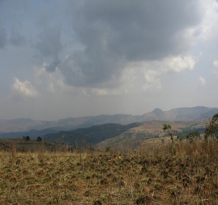 Mambilla Plateau before the rains