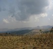 #7: Mambilla Plateau before the rains